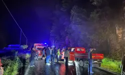 Rize'de İki Kamyonet Çarpıştı:4 Yaralı