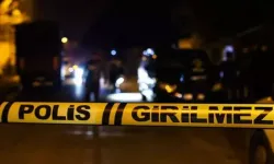 Trabzon'da Şarampole Yuvarlanan Otomobilin Sürücüsü Öldü