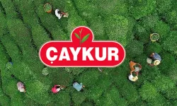 ÇAYKUR Bugün Yaş Çay Alımı Yapmayacağını Bildirdi