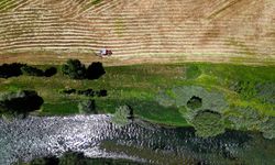 Bayburt'ta 40 Bin Hektar Alanda Yem Bitkisi Hasadı Sürüyor
