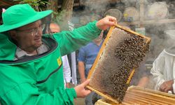 Artvin'de Arıcılar Kestane Balı Sağımına Başladı