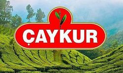 ÇAYKUR, Yaş Çay Bedeli Ödemelerine Yarın Başlayacak