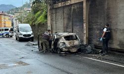 Rize'de Park Halindeki Otomobil Yandı