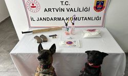 Artvin'de Uyuşturucu Operasyonunda 1 Şüpheli Tutuklandı