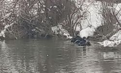 Kayıp Sabit öğretmen, Karasu Nehri'nde aranıyor