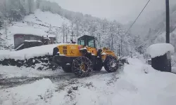 Rize'de Kar Nedeniyle 14 Köy Yolu Ulaşıma Kapandı