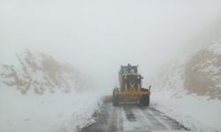 Siirt’te, kar nedeniyle yolu kapanan yollar açıldı