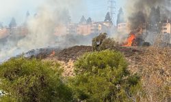 ABD'nin San Diego bölgesinde yangın riski sürüyor