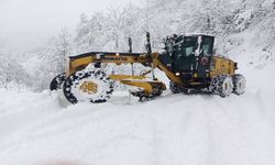 Doğu Karadeniz’de 141 Köy ve Mahalle Yolu Kardan Kapandı