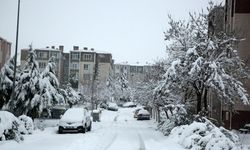 Edirne'de kar yağışı