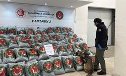 Hamzabeyli'den giriş yapan TIR'da 870 kilo skunk ele geçirildi