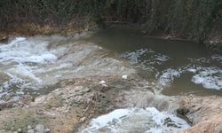 Rengi siyaha dönüp köpüren Ceyhan Nehri’nde balık ölümleri / Ek fotoğraflar