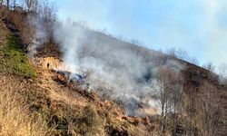 Rize’de anız ateşi ormana sıçradı