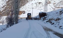 Şırnak'ta kardan kapanan 9 köy yolu ulaşıma açıldı