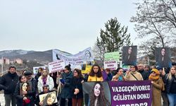 Tunceli’de kaybolan Gülistan Doku’dan 5 yıldır iz yok (2)