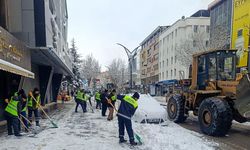 Van'da kar yağışı; 493 yerleşim yeri ulaşıma kapandı / Ek fotoğraflar