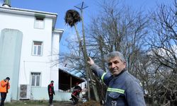 Eğilen direği onarıp, leyleğe yeni yuva yaptılar