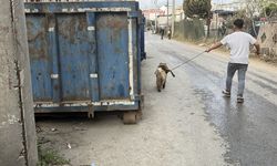 Hurdalık alev alev yandı; mahsur kalan köpeği itfaiye kurtardı