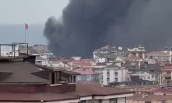İstanbul - Pendik'te depoda yangın-1
