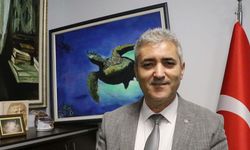 Tatilcilere bayram öncesi caretta caretta uyarısı: Beslemeyin