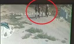 Narin cinayetinde 15 sanığın, 'Suçluyu kayırma'dan yargılandığı davada savcı mütalaasını açıkladı