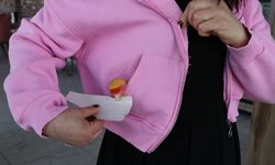 Sahiplendiği papağanını yanından ayırmıyor