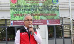 Yalova'da çiftçilere 375 bin adet salatalık ve biber fidesi dağıtıldı