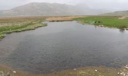 ‘Yılan Pınarı’nda yuvalarından çıkan yılanlar için uyarı / Ek fotoğraflar