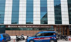 Zeytinlikte ayı saldırısında yaralandı