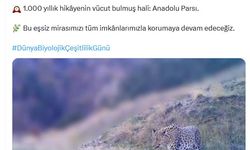 Bakan Yumaklı'dan 'Anadolu parsı' paylaşımı