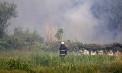Çalılıkta çıkan yangına 1,5 saatlik müdahale/Ek fotoğraflar
