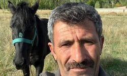 Kaybolan atını duvarlara astığı afişlerle arıyor