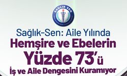 Sağlık-Sen, hemşire ve ebelere yönelik 'İş ve Aile Hayatı Uyumu' araştırması yaptı