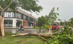 Sakarya'da iki mevsim bir arada; sağanak ve fırtına sonrası güneşli hava