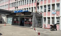 Samsun'da tavuktan zehirlenen işçi sayısı 225’e çıktı