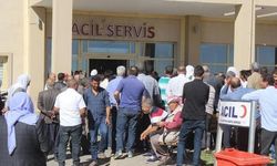 Şanlıurfa'da polis merkezi önünde kavga: 5 yaralı, 12 gözaltı