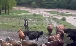 Sivas'ta sağanak sele neden oldu