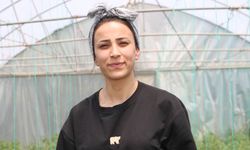 Yüksekovalı kuzenler Neslihan ile Zeynep, kurdukları serada sebze yetiştiriyor
