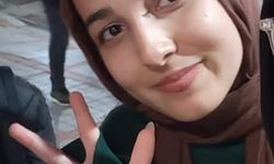 2 kardeşin öldüğü kazaya arı paniği neden olmuş