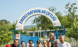 Ajda Pekkan’dan HEPAD’a ziyaret; hayvanseverlere sahiplenme çağrısında bulundu