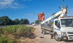Balık tutarken oltası elektrik teline takılınca akıma kapılarak öldü