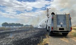 Buğday tarlasına sıçrayan yangında 10 dönüm alan zarar gördü