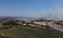 Çanakkale'de orman yangını (2)