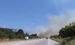 Çanakkale'de orman yangını