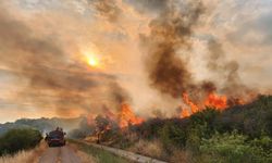 Çanakkale'deki orman yangınlarıyla ilgili 6 şüpheliye gözaltı