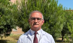 Doç. Dr. Doğan: Tekirdağ'da 200 kene tutunması vakasında bulaşıcı hastalığa rastlamadık