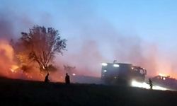 Düğünde atılan havai fişek, ekili buğday tarlasını yaktı