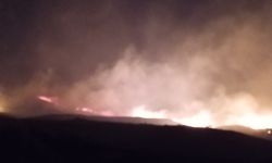 Elazığ’da otluk alanda çıkan yangın kontrol altına alındı