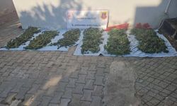 Evin bir odasını uyuşturucu imalathanesine çevirmişler; 1 tutuklama