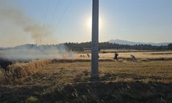 Gediz’de çıkan tarla yangınında, 5 dönüm ekili alan küle döndü